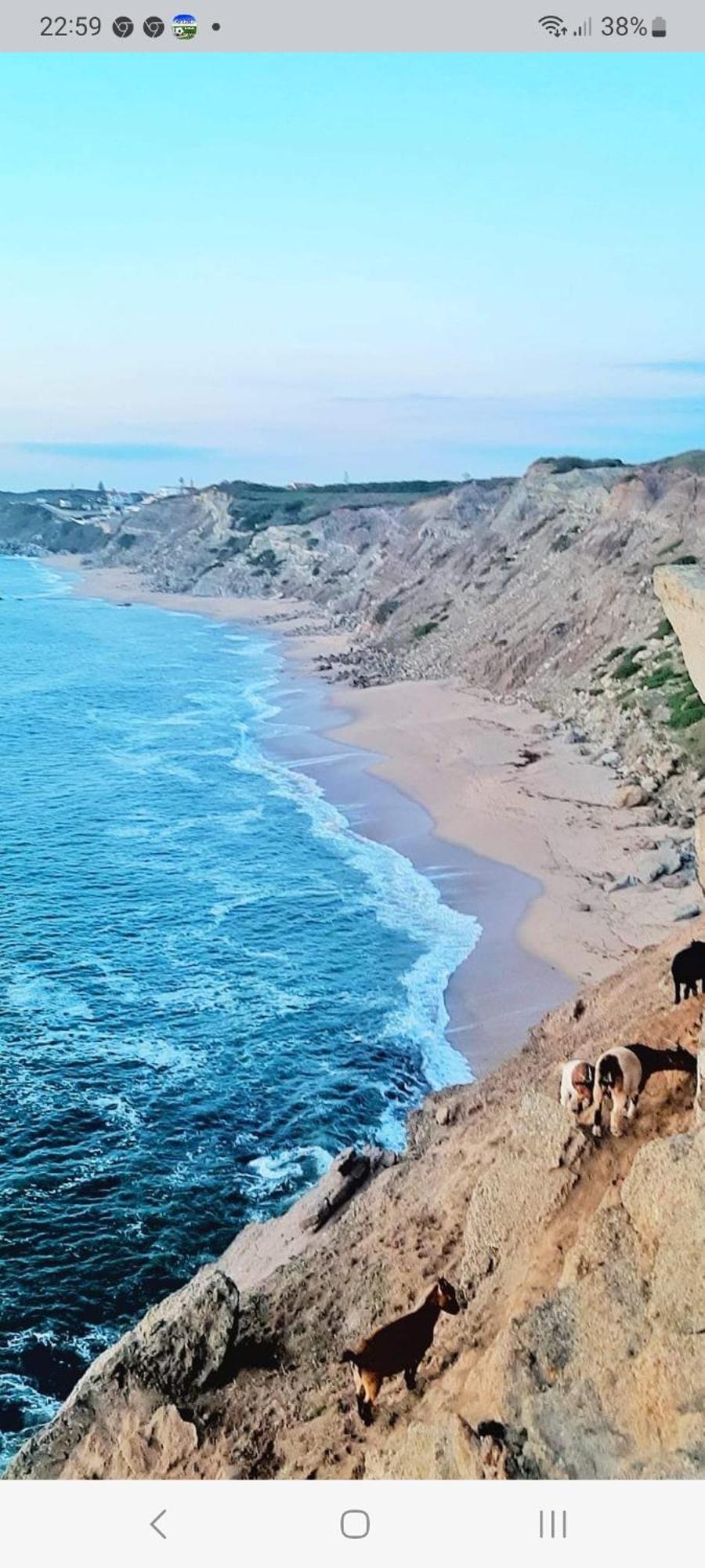 Casa Do Portao Azul - Espadarte اتوغويه ده باليه المظهر الخارجي الصورة